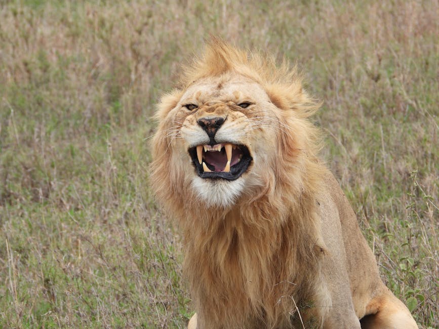 groźby przerażające zdjęcie