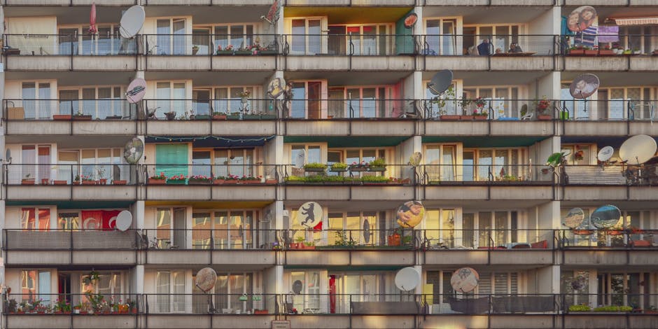 liver berlin style dish