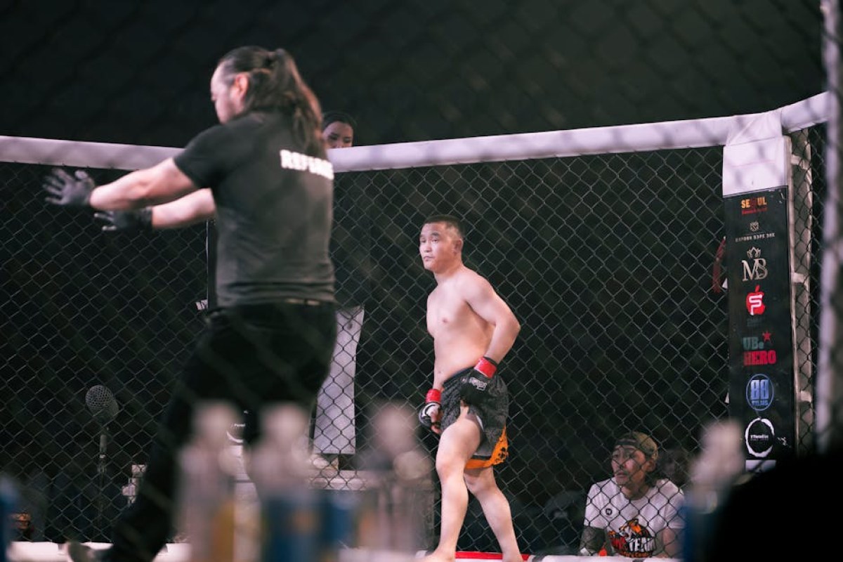UFC fight octagon
